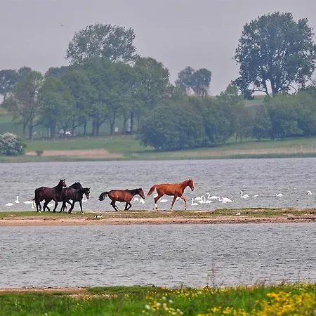 Apartmán Seeschwalbe *