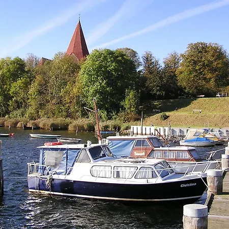 Seeschwalbe *