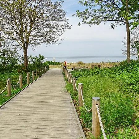 Seeschwalbe Insel Poel