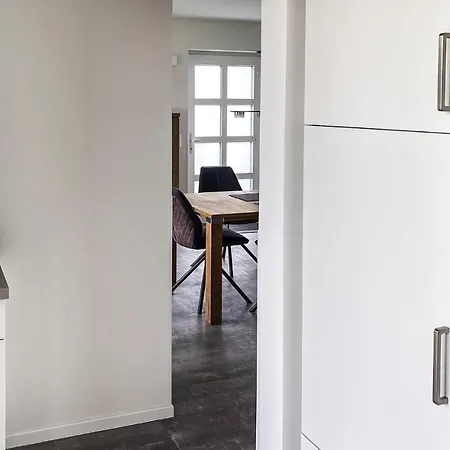 Seeschwalbe * Insel Poel