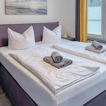 Seeschwalbe Insel Poel