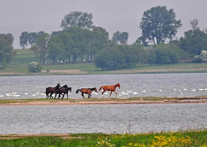 Apartman Seeschwalbe *