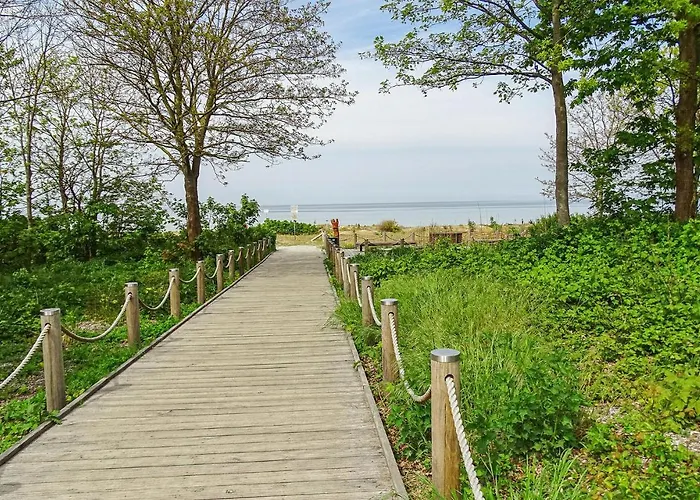 Seeschwalbe Insel Poel