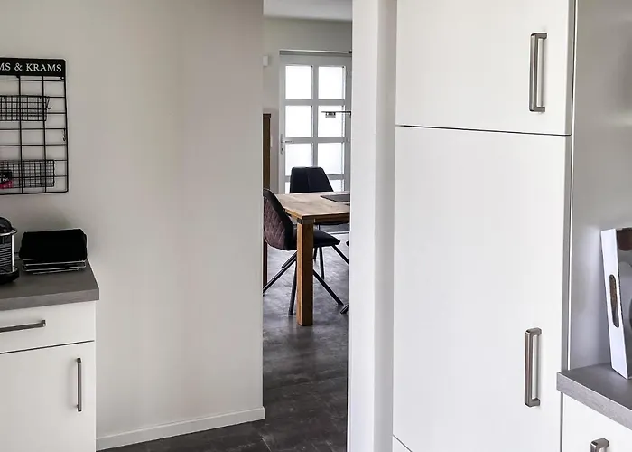 Seeschwalbe * Insel Poel