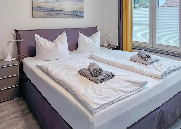 Seeschwalbe Insel Poel